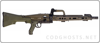 AMELI
